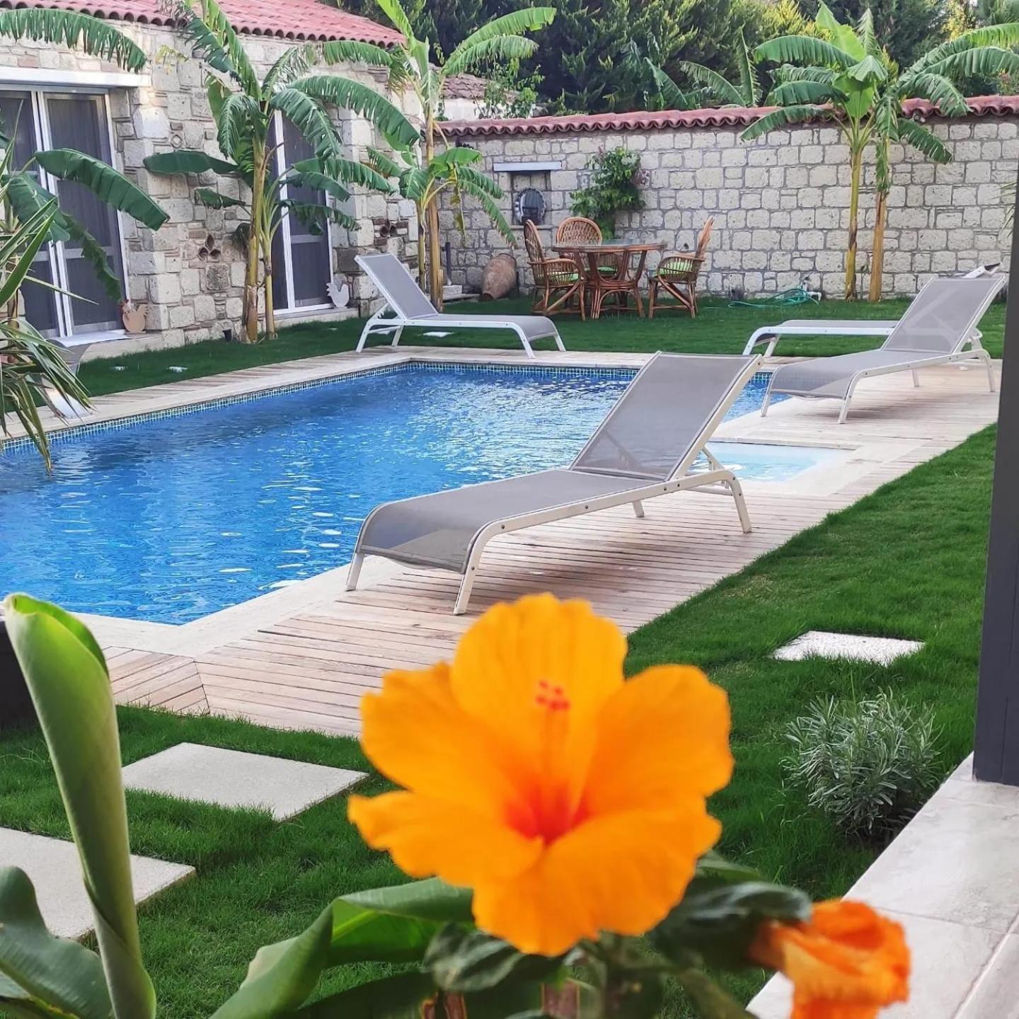La Maison De Yasmine Ildiri Bagian luar foto